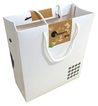 Yilucai Paper Shopping Bag Factory China Custom Paper Shopping Bag Manufacturer Supplier ...